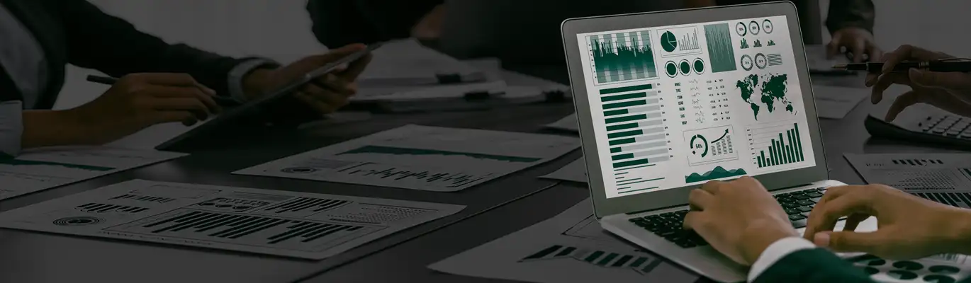 A Microsoft Excel professional working on computer