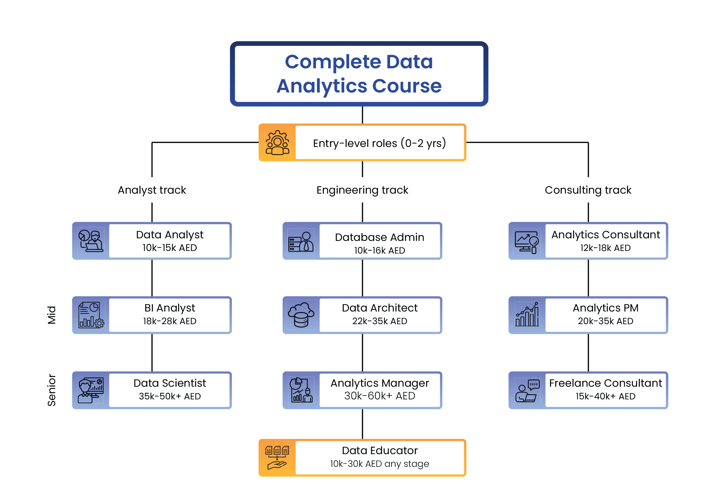 Data Analytics Career Path