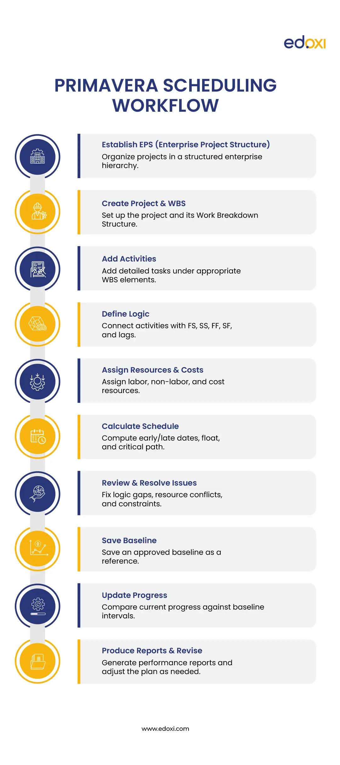 Infographic outlining the Primavera P6 scheduling workflow from project setup to reporting.