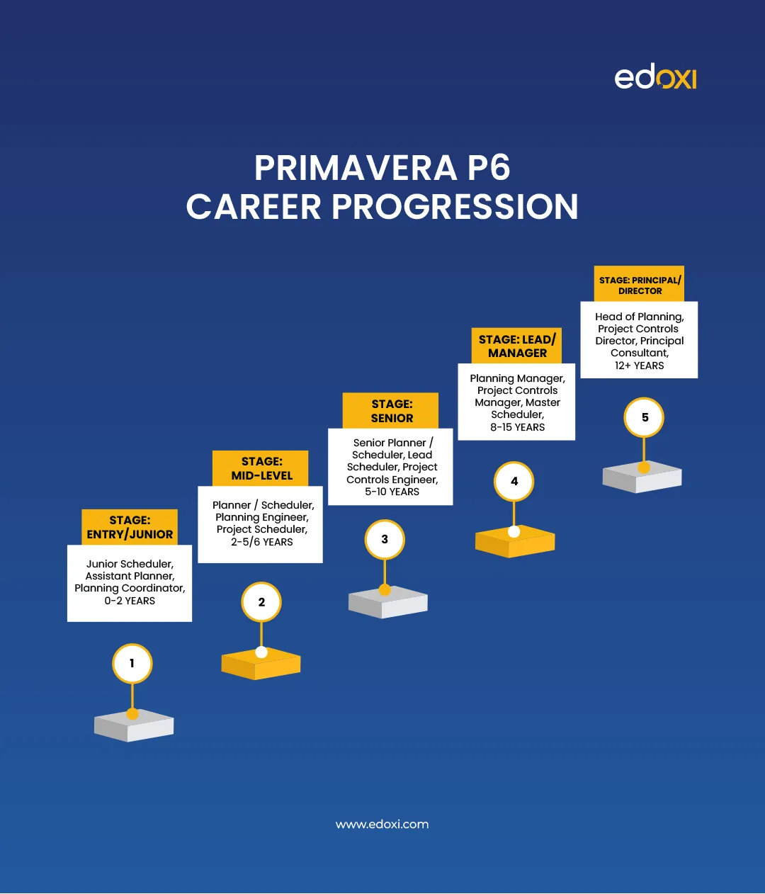 Infographic showing the Primavera P6 career progression path from junior scheduler to planning director.