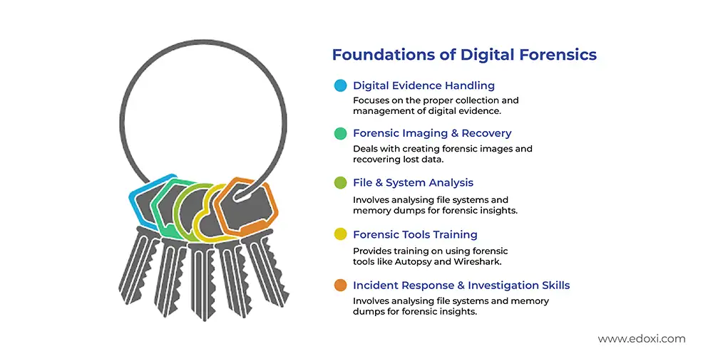 Digital Forensics training infographic showing key areas like evidence handling, recovery, analysis, and tools.